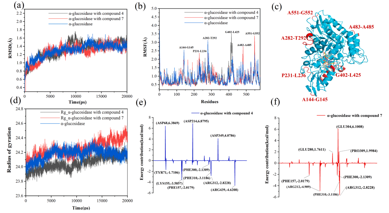图2. α-葡萄糖苷酶活性口袋残基的分子动力学结果。(a) 复合物和游离蛋白质的20 ns分子动力学模拟RMSD曲线图。(b) 复合物和游离蛋白质中结合部位残基的RMSF曲线。(c) α-葡萄糖苷酶的结构，“高柔性区域”以红色显示。(d) 复合物和游离α-葡萄糖苷酶体系在动力学过程中的回转半径随时间变化曲线图。α-葡萄糖苷酶与化合物4 (e) 和7（f）结合时的残基能量贡献图。