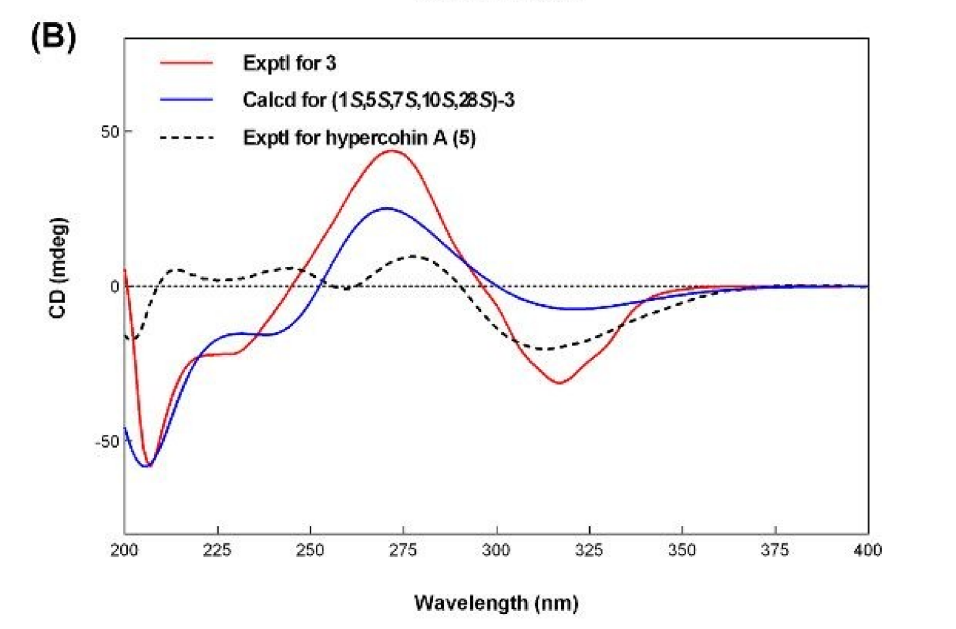 图4. 金丝桃酮 C的ECD和实验计算图谱。